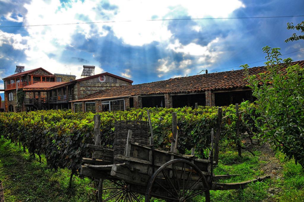 Twins Wine House Ξενοδοχείο Napareuli Εξωτερικό φωτογραφία