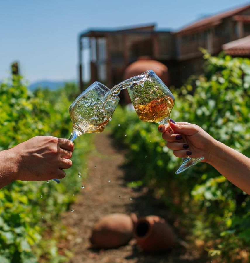 Twins Wine House Ξενοδοχείο Napareuli Εξωτερικό φωτογραφία