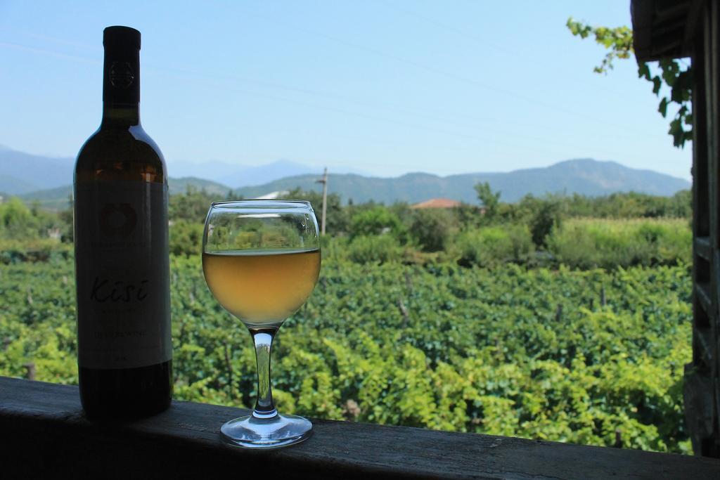 Twins Wine House Ξενοδοχείο Napareuli Εξωτερικό φωτογραφία