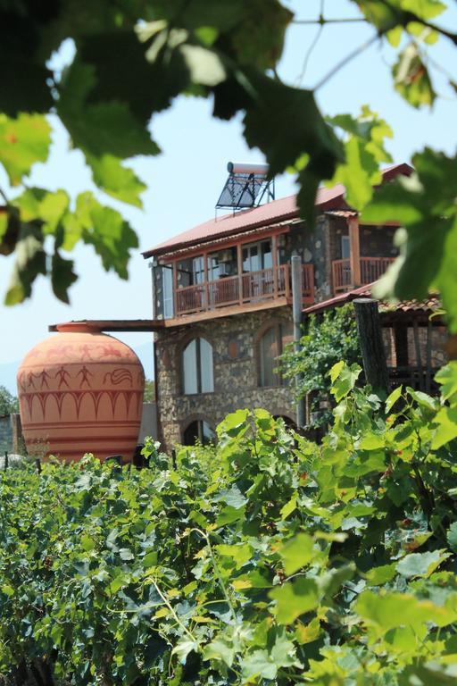 Twins Wine House Ξενοδοχείο Napareuli Εξωτερικό φωτογραφία