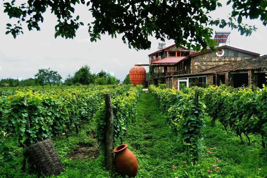 Twins Wine House Ξενοδοχείο Napareuli Εξωτερικό φωτογραφία