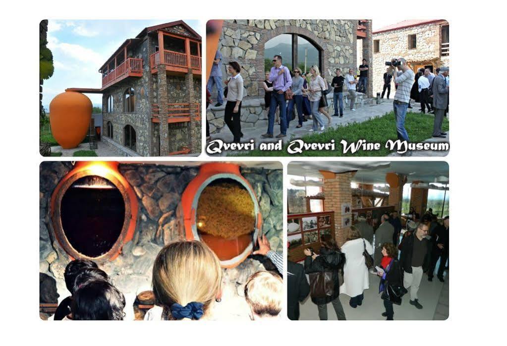 Twins Wine House Ξενοδοχείο Napareuli Εξωτερικό φωτογραφία