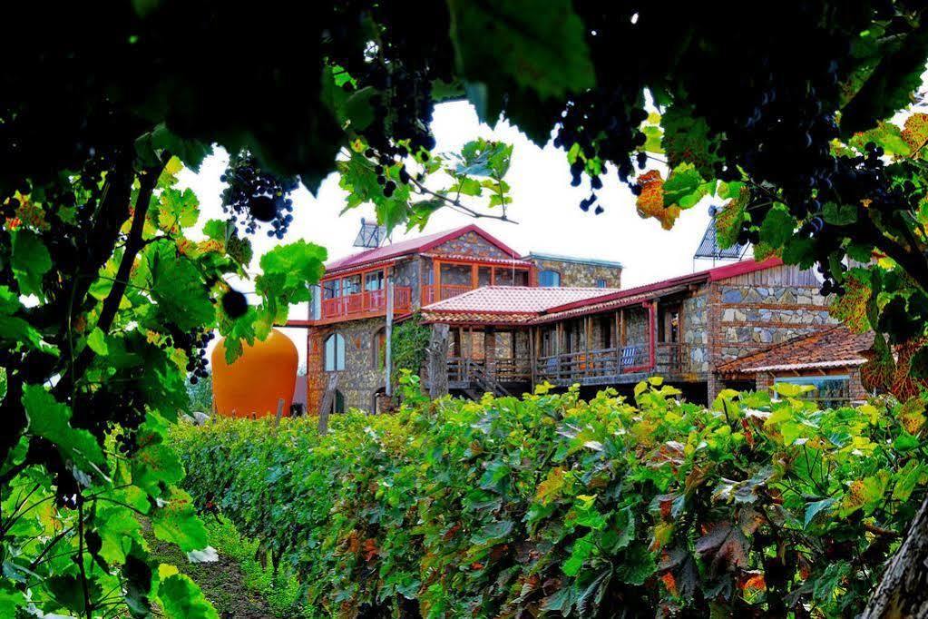 Twins Wine House Ξενοδοχείο Napareuli Εξωτερικό φωτογραφία