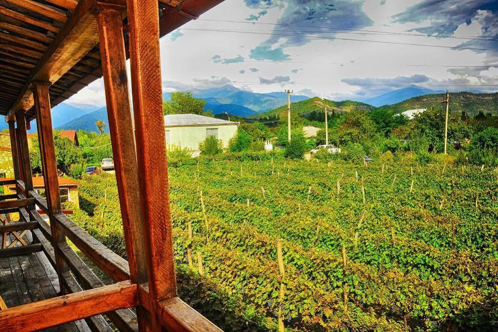 Twins Wine House Ξενοδοχείο Napareuli Εξωτερικό φωτογραφία